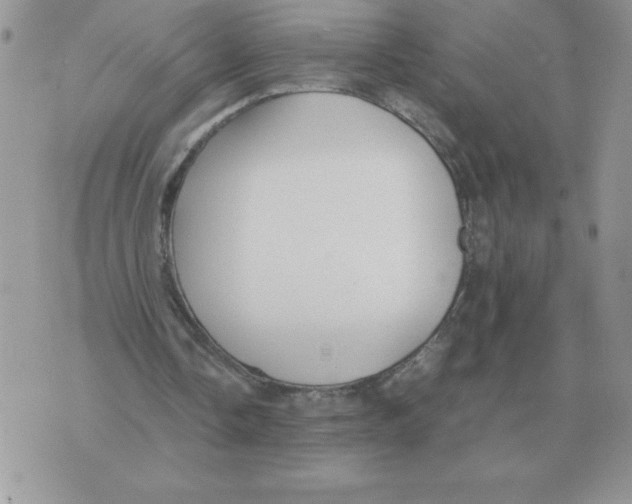 X0000070370338200607072134