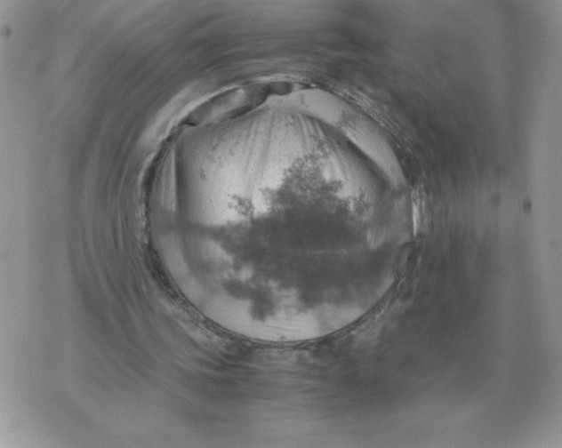 X0000070370339200607072134