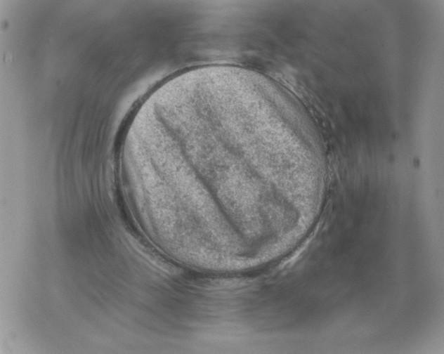 X0000070370342200607072134