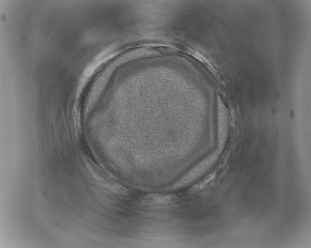 X0000070370343200607072134