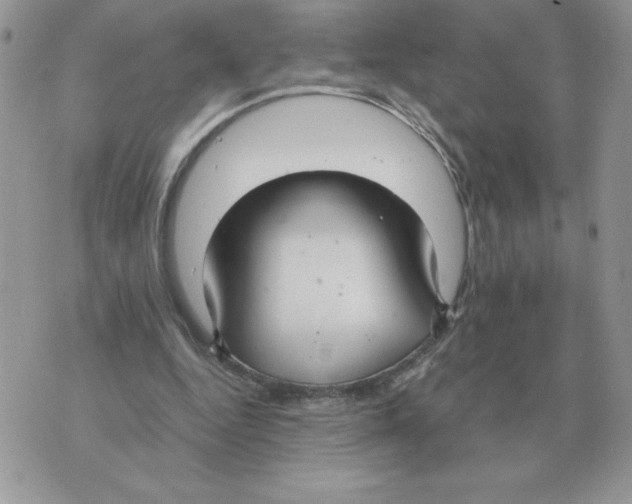 X0000070370344200607072134