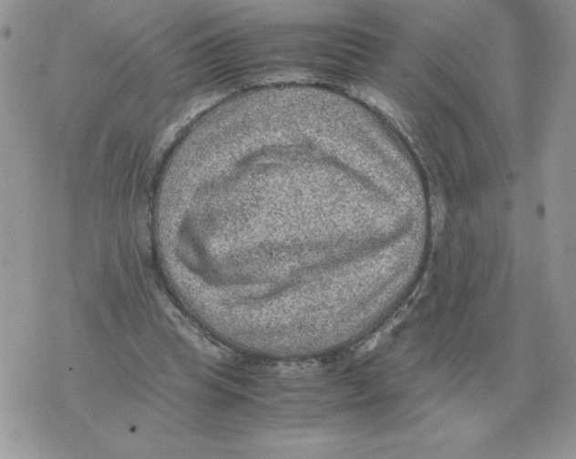 X0000070370345200607072134