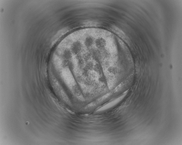 X0000070370347200607072134