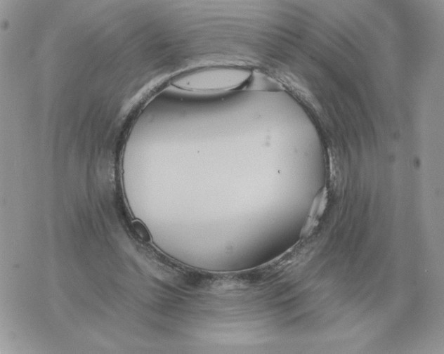 X0000070370348200607072134