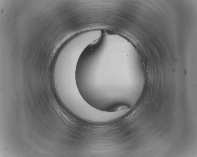 X0000070370350200607072134