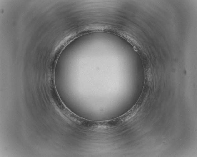 X0000070370352200607072134