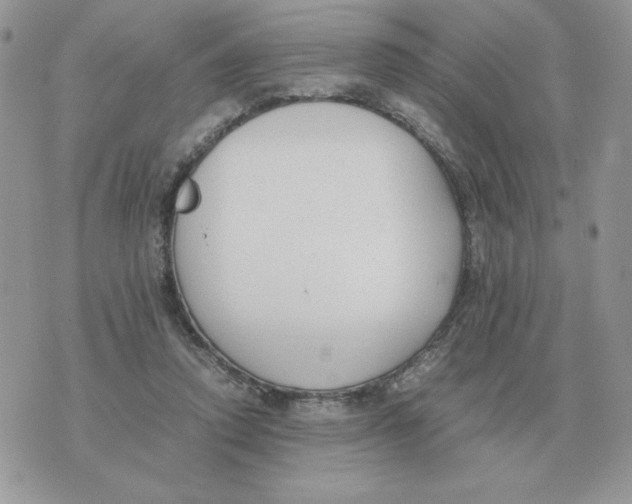 X0000070370354200607072134