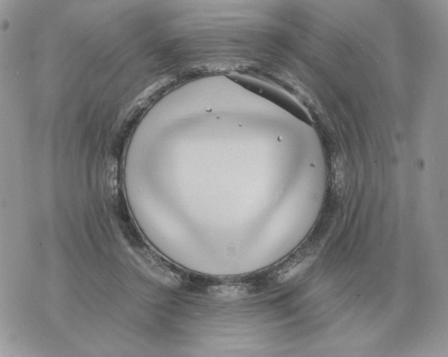 X0000070370356200607072134