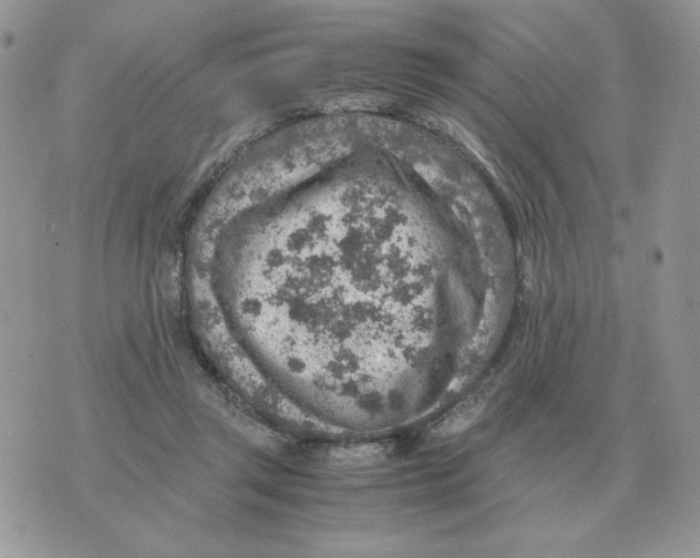 X0000070370357200607072134