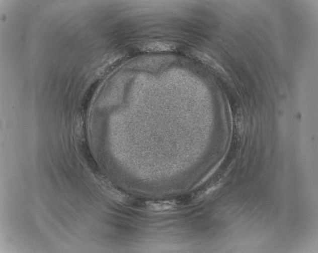 X0000070370359200607072134