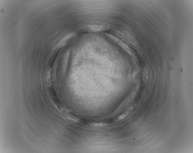 X0000070370360200607072134