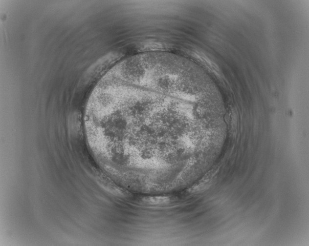 X0000070370361200607072134