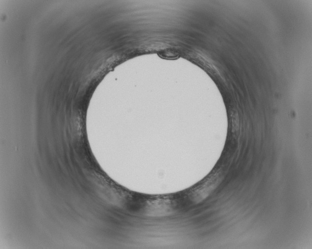 X0000070370362200607072134