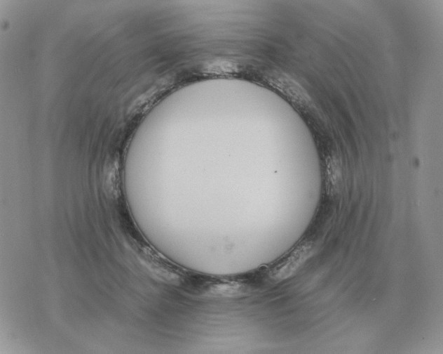 X0000070370364200607072134