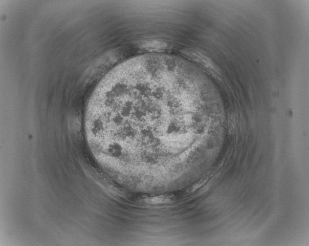 X0000070370365200607072134