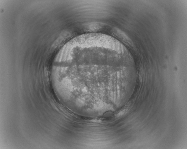 X0000070370366200607072134