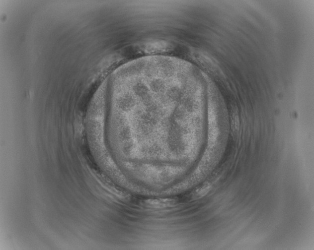 X0000070370367200607072134