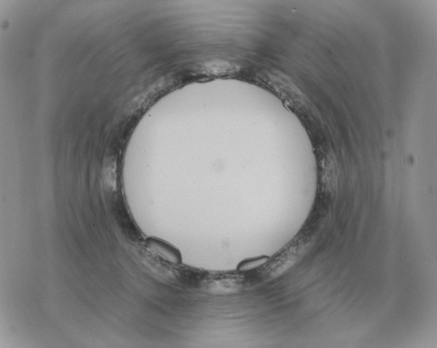 X0000070370368200607072134