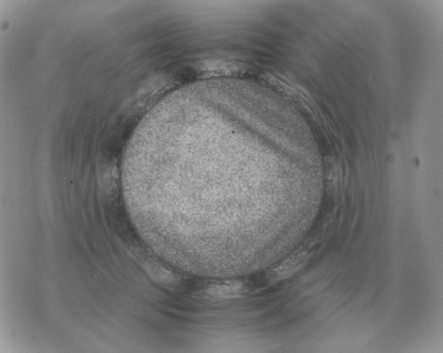 X0000070370369200607072134