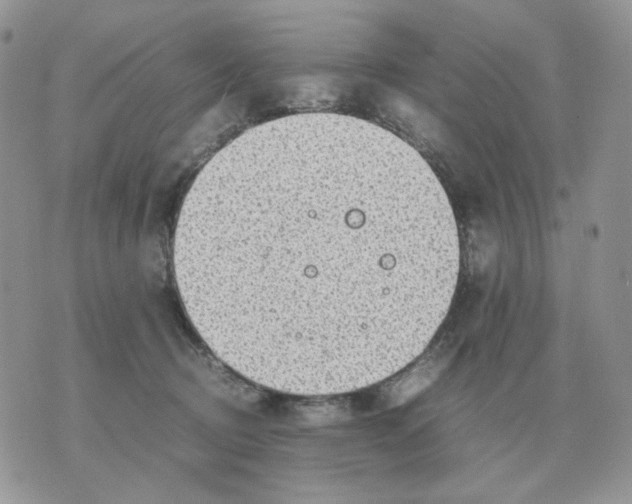 X0000070370370200607072134