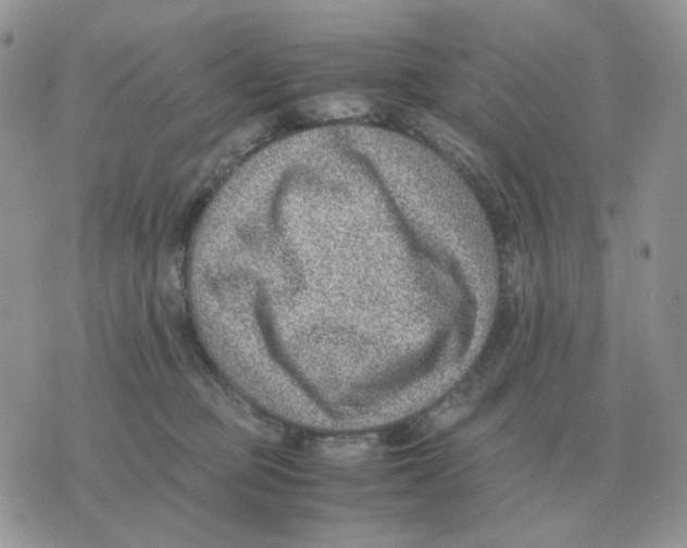 X0000070370373200607072134