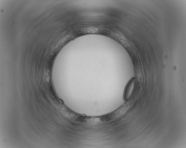 X0000070370374200607072134