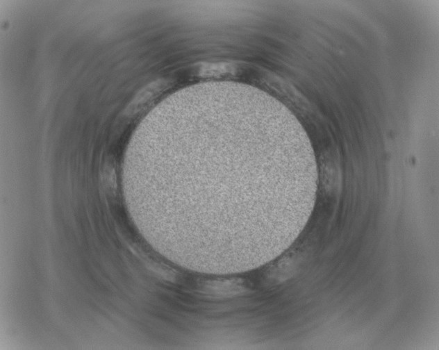 X0000070370375200607072134