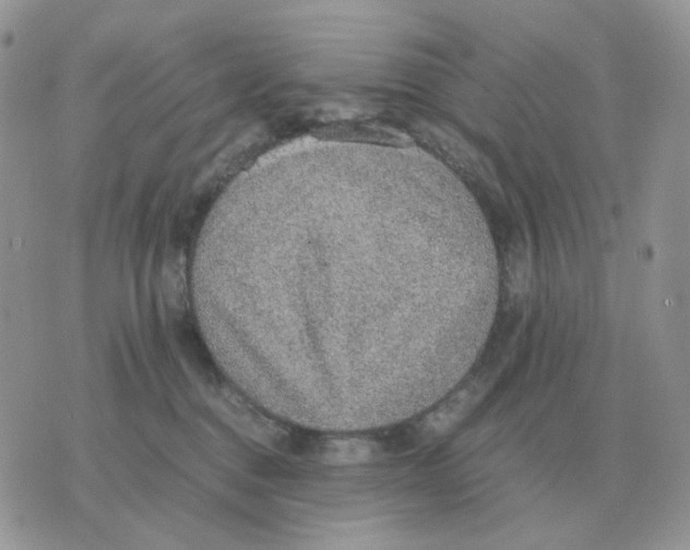 X0000070370376200607072134