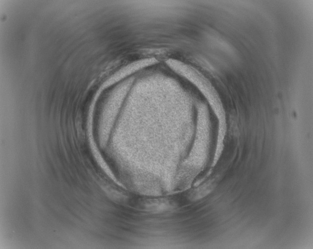 X0000070370377200607072134