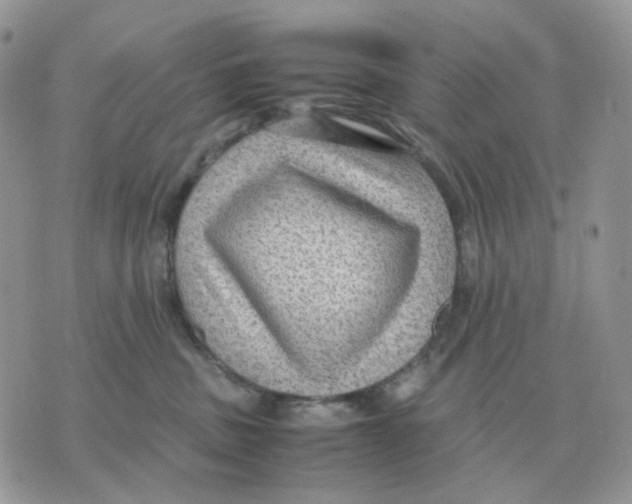 X0000070370379200607072134