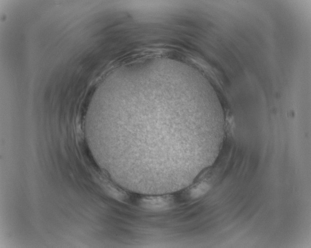 X0000070370381200607072134