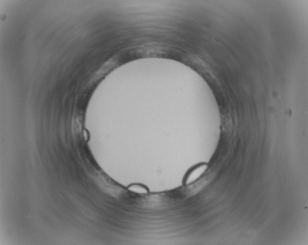 X0000070370382200607072134