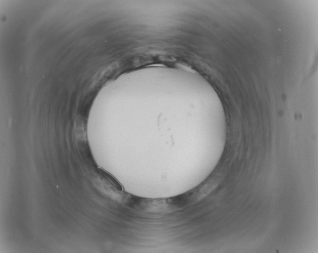 X0000070370384200607072134