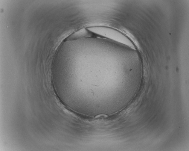 X0000070370385200607072134