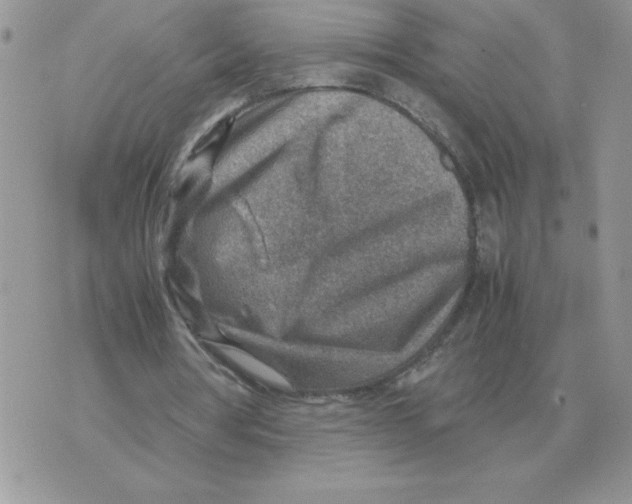 X0000070370386200607072134