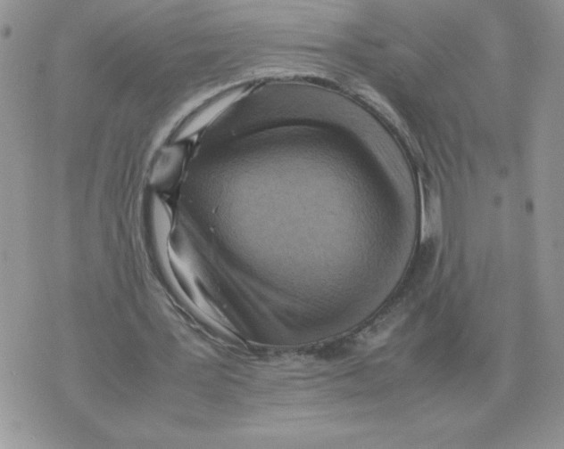 X0000070370387200607072134