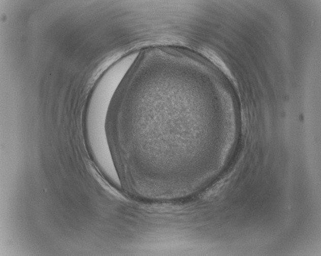 X0000070370389200607072134