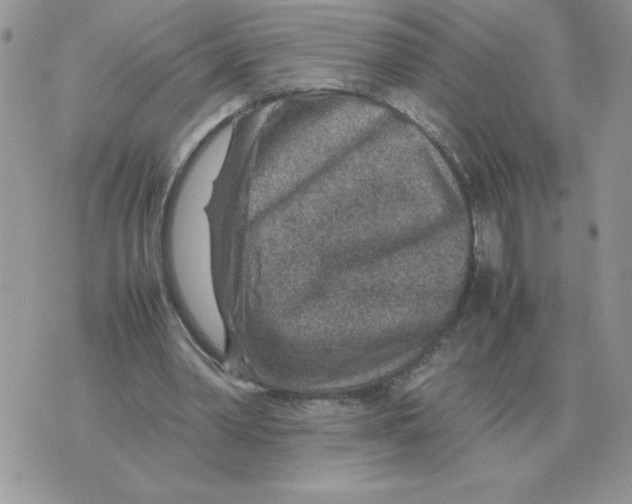 X0000070370390200607072134