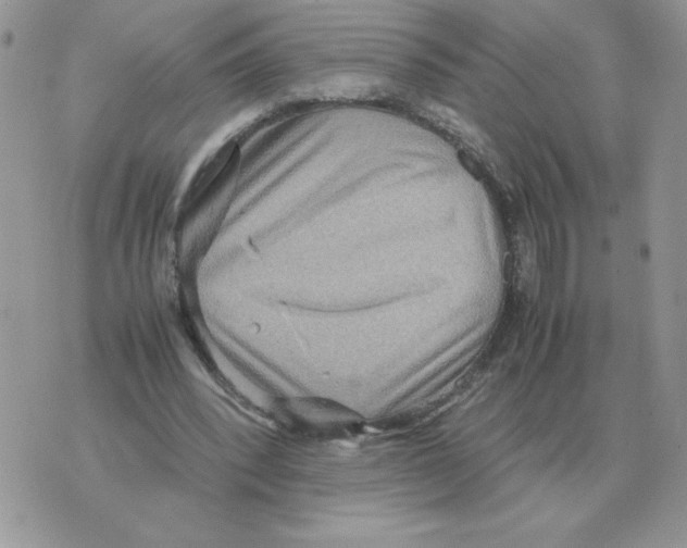 X0000070370392200607072134