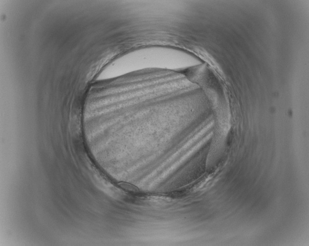 X0000070370393200607072134