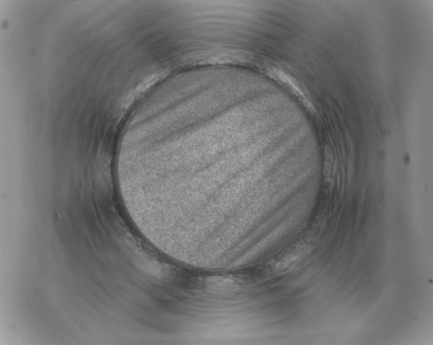 X0000070370394200607072134