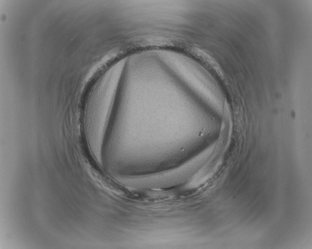 X0000070370395200607072134