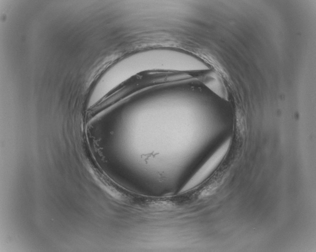 X0000070370397200607072134