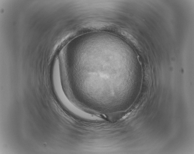 X0000070370399200607072133