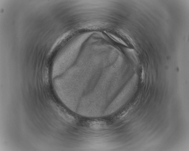 X0000070370400200607072133