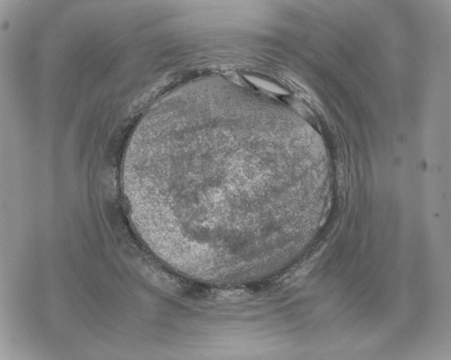 X0000070370401200607072133