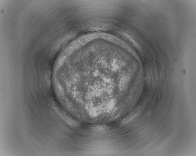 X0000070370402200607072133