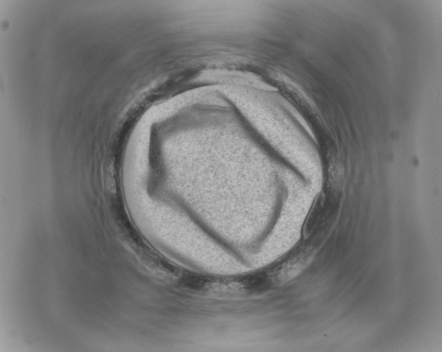 X0000070370403200607072133