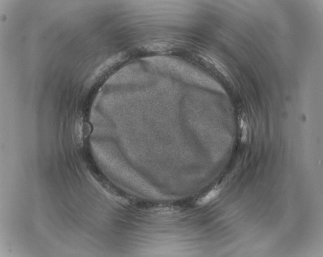 X0000070370404200607072133