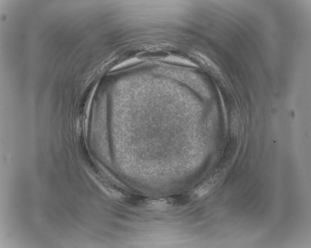 X0000070370405200607072133